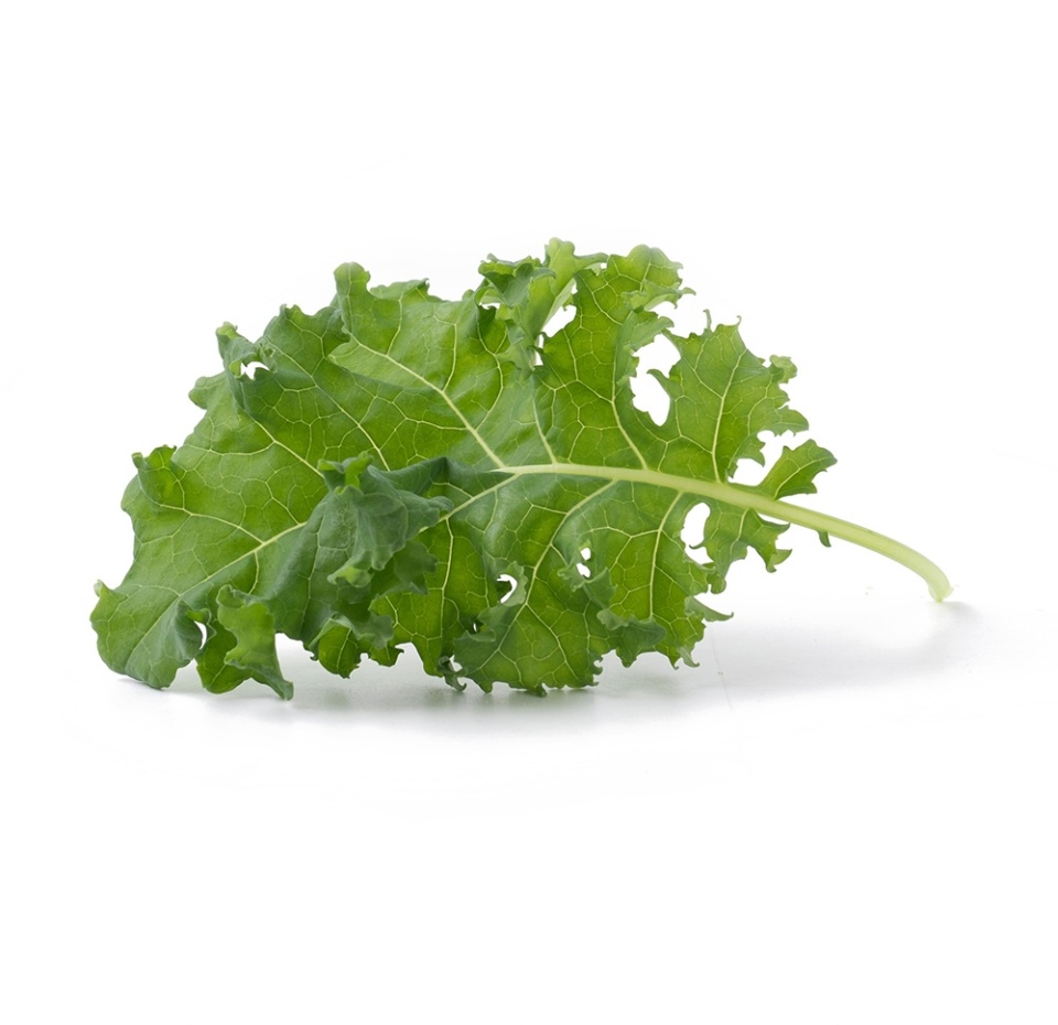 

Капуста Кейл в горшочке, Россия