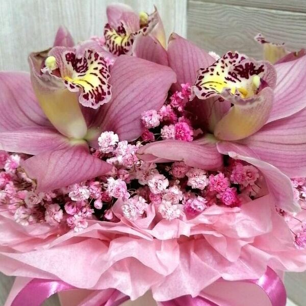 Орхидея 5 шт. с гипсофилой в боксе