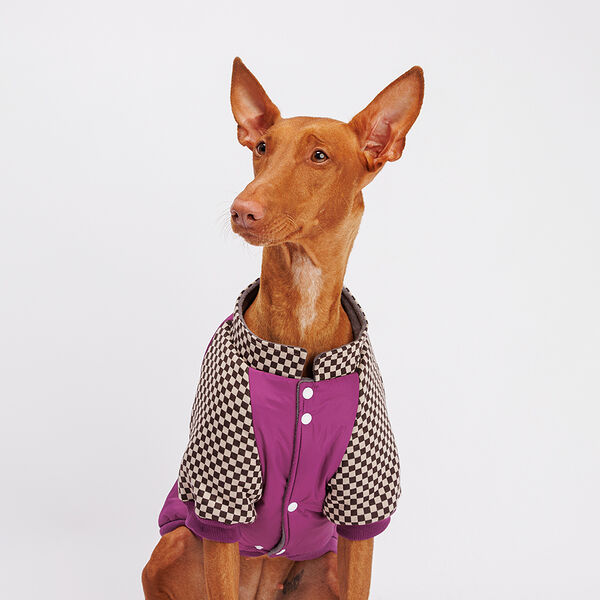 Куртка для собак, 5XL, фиолетовая