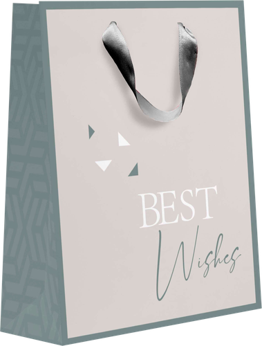 

Пакет подарочный Diplomat, 22,7х18х10см, размер M