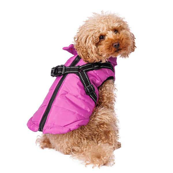 Куртка со шлейкой Petmax фиолетовая XL