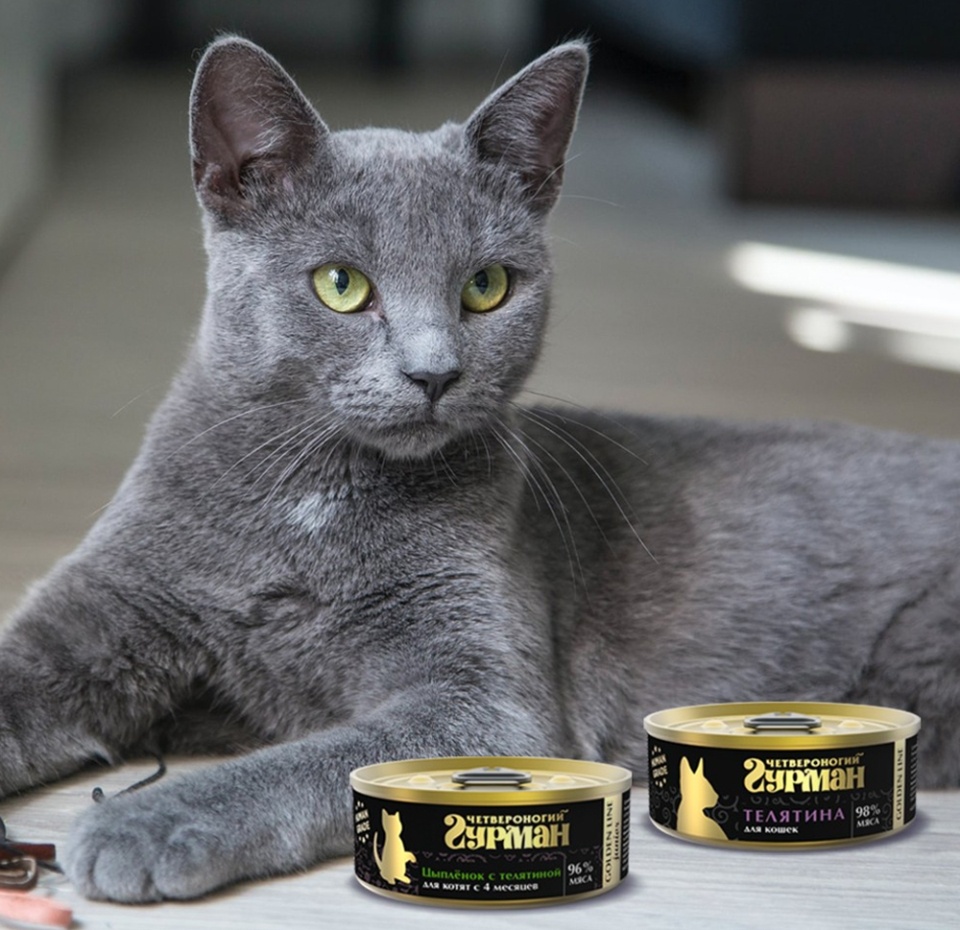 

Консервы для кошек Четвероногий гурман Golden Line Телятина натуральная в желе 100 г