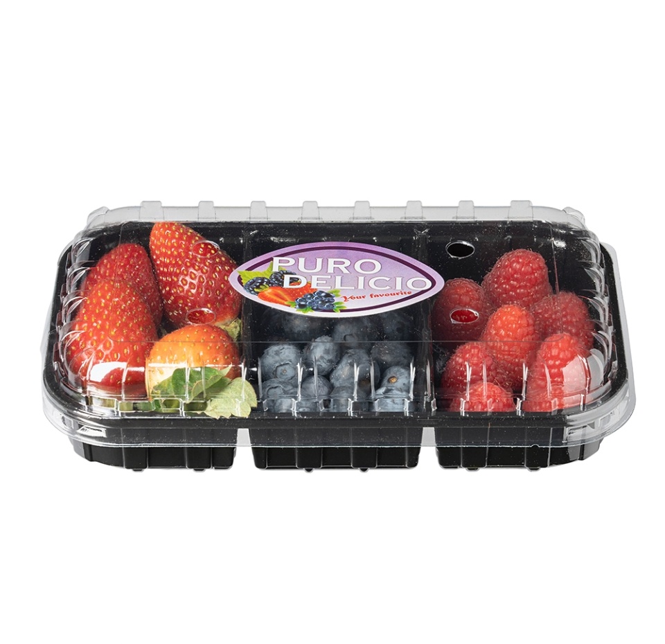 

Ягодный микс PURO DELICIO (голубика,клубника, малина) 300 г