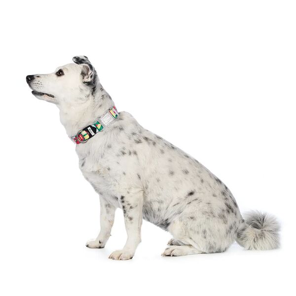 Ошейник зелено-малиновый 20мм размер M