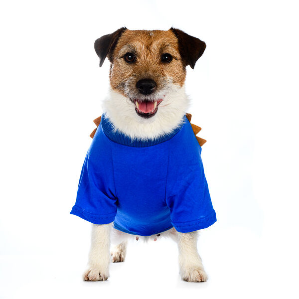 Футболка для собак Petmax XL голубой (унисекс)