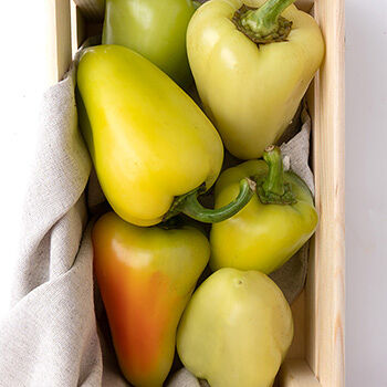 Перец грунтовой