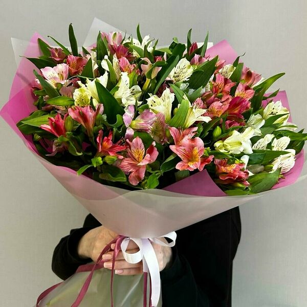 Букет из 25 Альстромерий