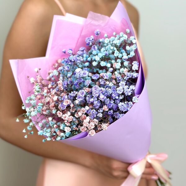 Гипсофила цветная 3 шт