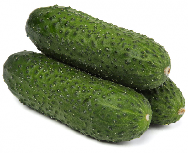 Огурец среднеплодный пупырчатый