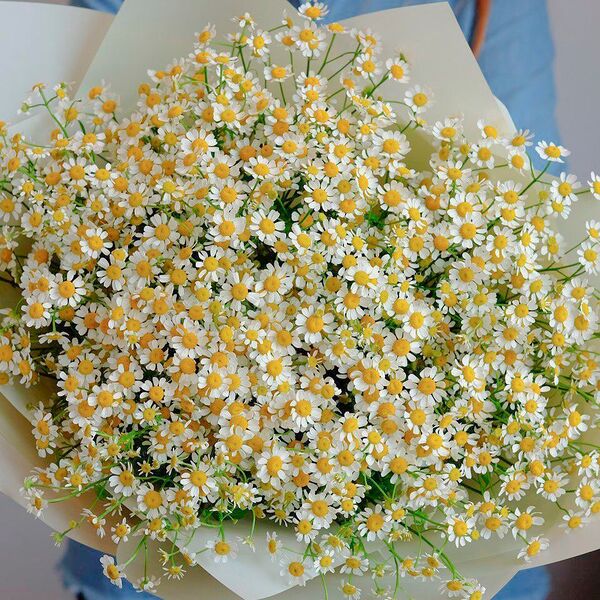 Букет из ромашек
