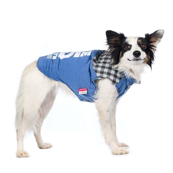 Куртка для собак 3XL синий (унисекс)