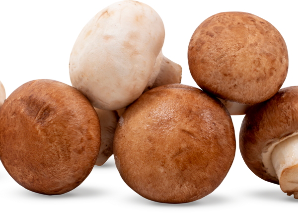 Шампиньоны ЛЕНТА FRESH микс