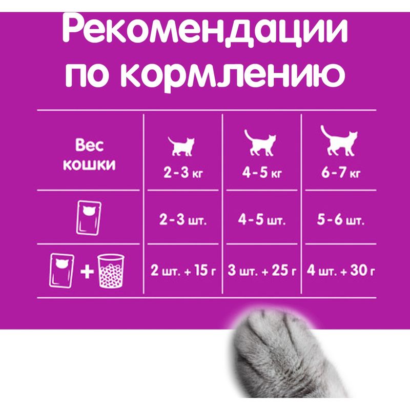 

Влажный корм для кошек Whiskas Аппетитный микс Курица и утка в сырном соусе 75 г