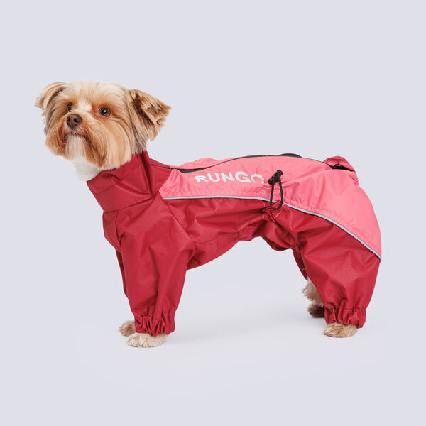 Дождевик Йорк, Чихуа девочка 2XL десертная роза