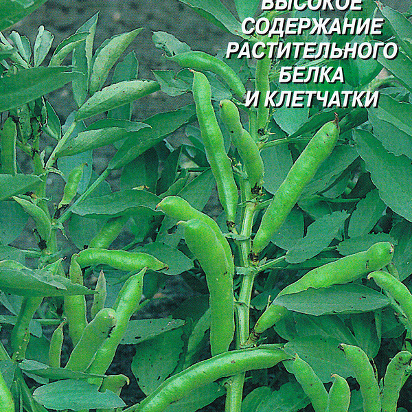 Семена ДОМ СЕМЯН Бобы овощные Русские черные, 12шт