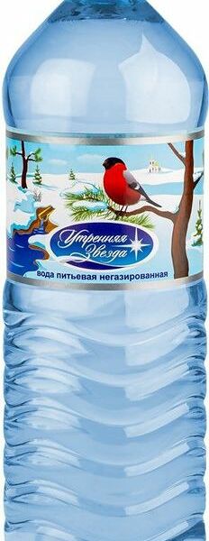 Вода питьевая Утренняя Звезда негазированная