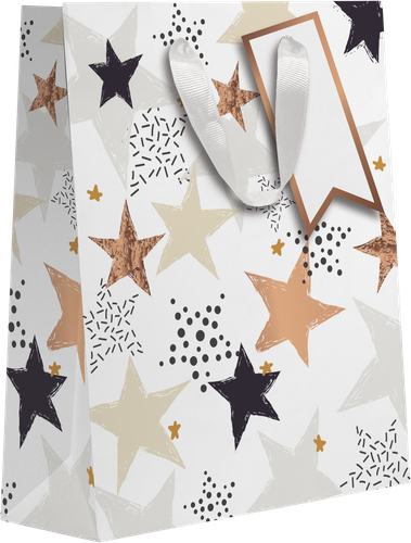 

Пакет подарочный Bronze люкс 41х31х10 см, 1 шт в ассортименте