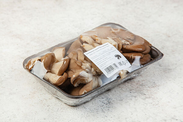 Грибы Вешенка