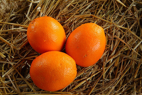 Апельсины Египетские
