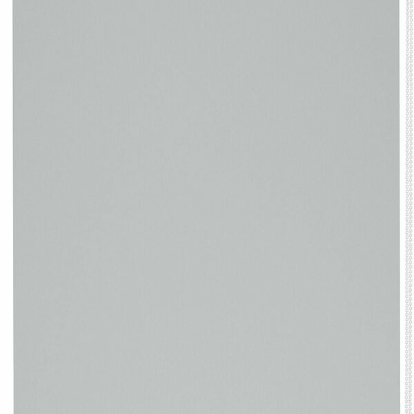 Рулонные шторы Эскар Blackout отражающий серый 100x170 см