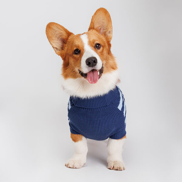 Свитер полосатый для собак, 55 см, синий