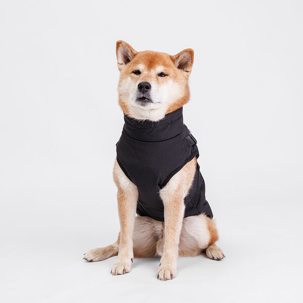 Куртка-жилетка со шлейкой для собак, XL, голубой камуфляж