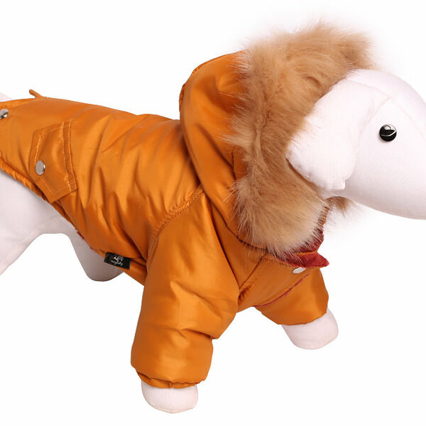 Lion Зимняя куртка для собак 