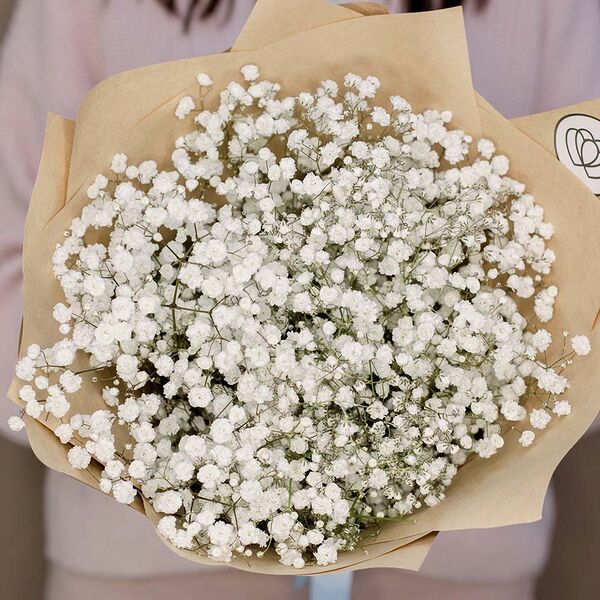 Букет из 7 белых гипсофил в упаковке
