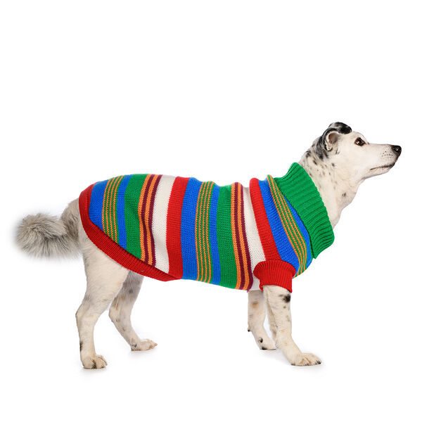 Свитер Petmax для собак 55см 4XL зеленый (унисекс)