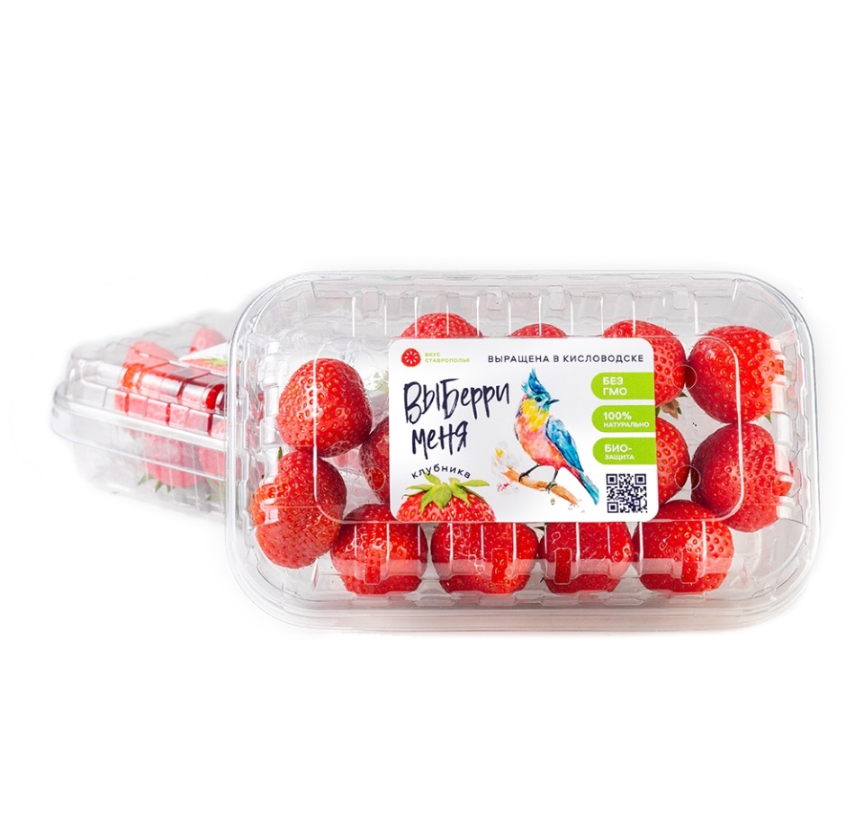 

Клубника Вкус Ставрополья 200г