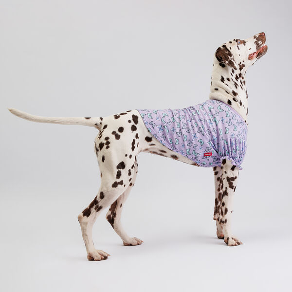 Футболка для собак, 3XL, сиреневая с бабочками