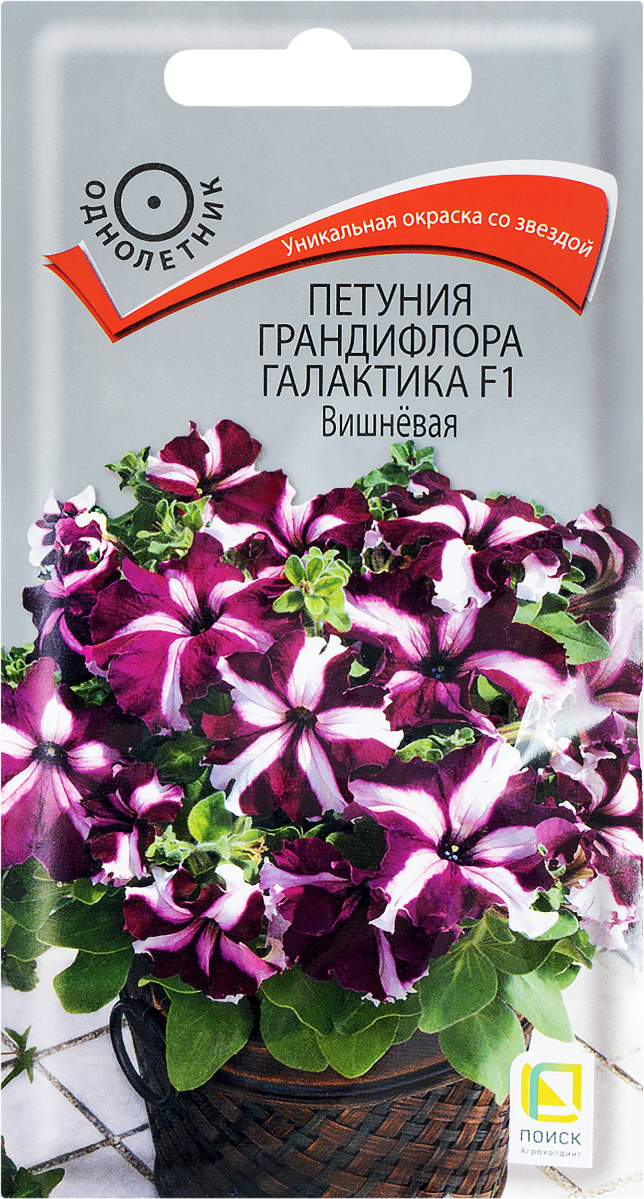 

Семена ПОИСК Петуния грандифлора Галактика F1 Вишневая, 10шт 3 г