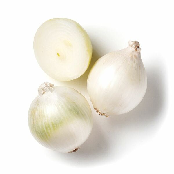 Лук репчатый