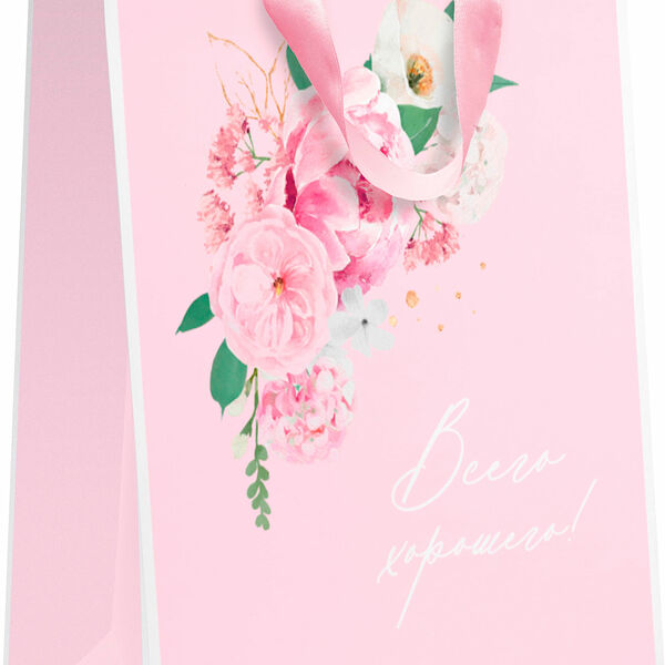 Пакет Пакетико подарочный матовая ламинация 41х31х10 см в ассортименте