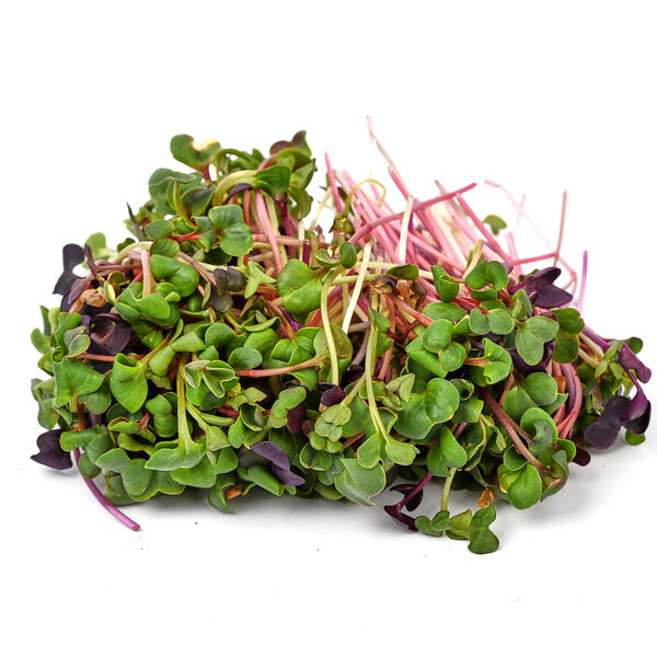 Микрозелень ТРИО Микс