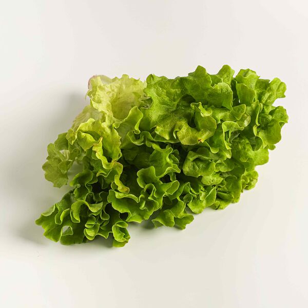 Салат листовой