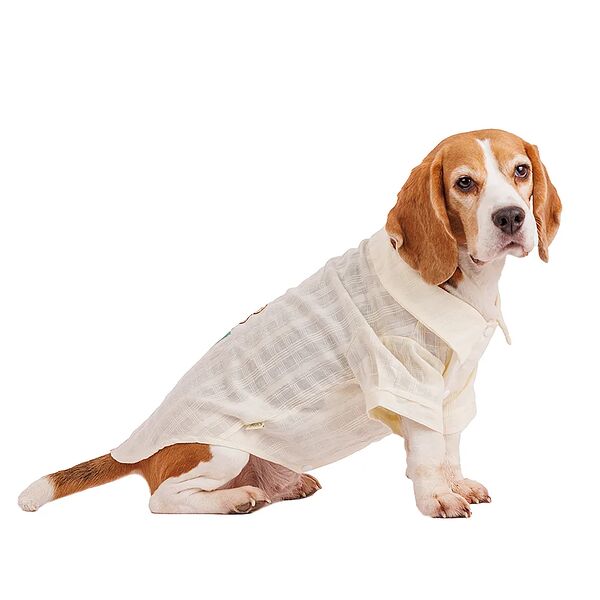 Футболка с цветком для собак Pure Sun 2XL белый (унисекс)