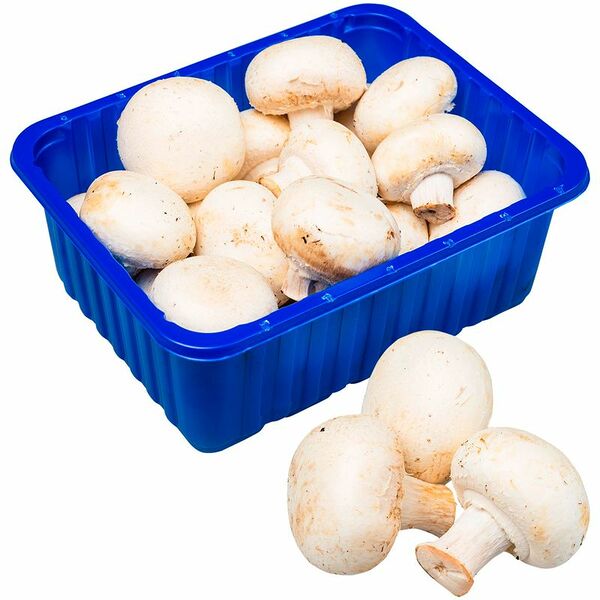 Шампиньоны Маркет Fresh, 400г