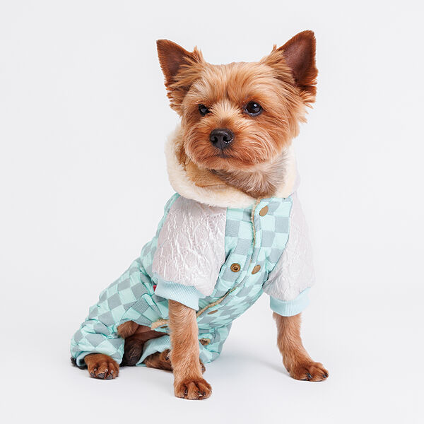 Комбинезон с капюшоном для собак, M, бирюзовый (девочка)