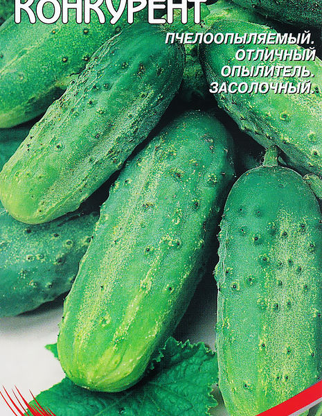 Огурец СортСемОвощ конкурент