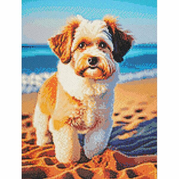 Cr440192 Алмазная мозаика 'Малыш терьер', 30х40, Cristyle