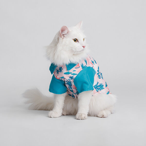 Футболка голубая с принтом 25см