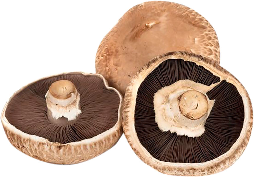 

Грибы Шампиньоны Портобелло