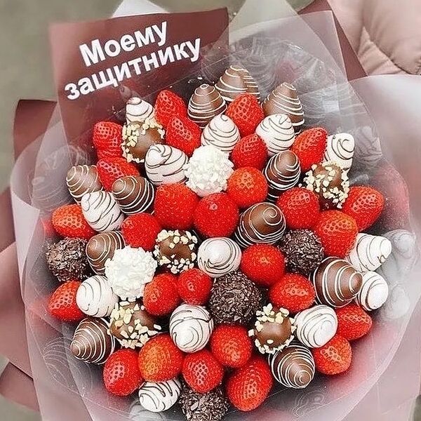 Восторг L Моему защитнику