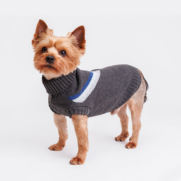 Свитер для собак, 25 см, черно-синий