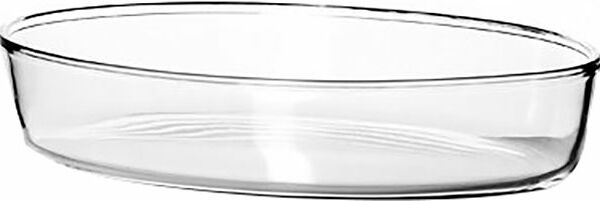 Блюдо овальное 30*21см Borcam 2. ОптТоргСоюз