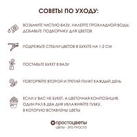 Изображение 11