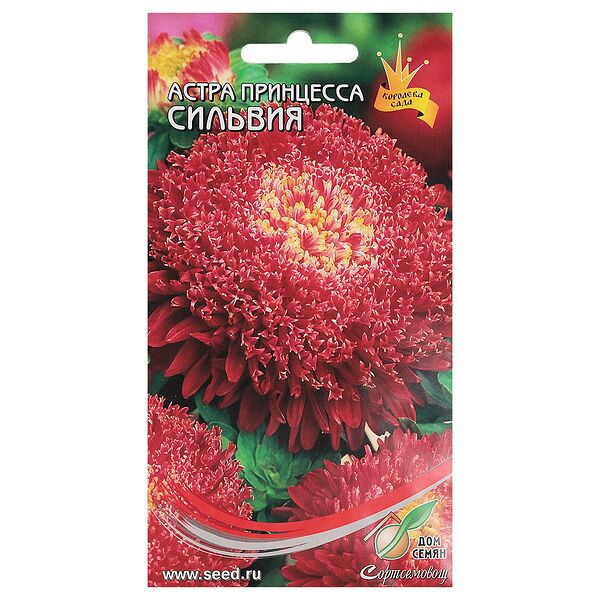 Семена Астра Принцесса Сильвия
