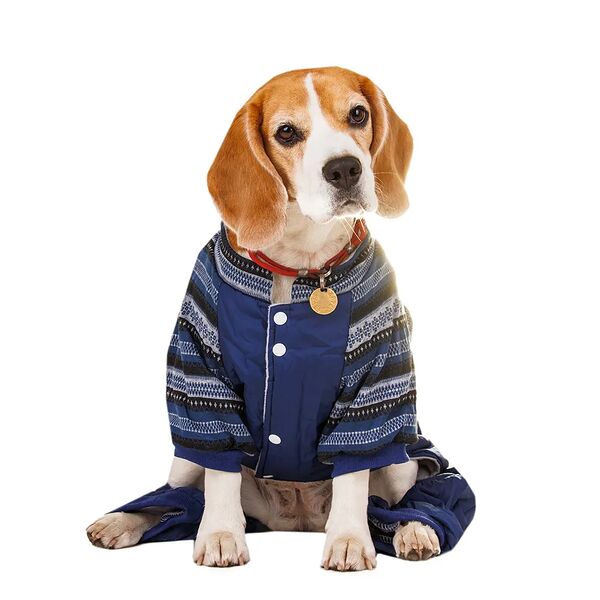 Комбинезон для собак с узором 4XL синий (унисекс)