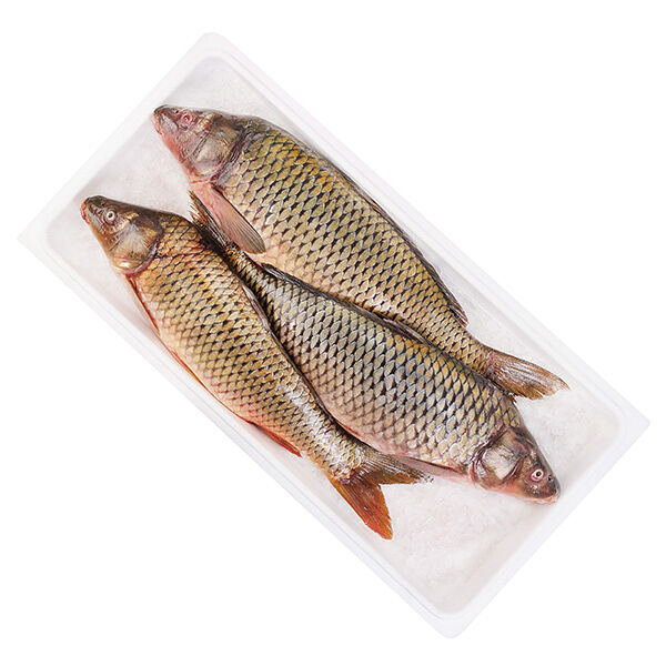 Карп охлажденный ОПТ